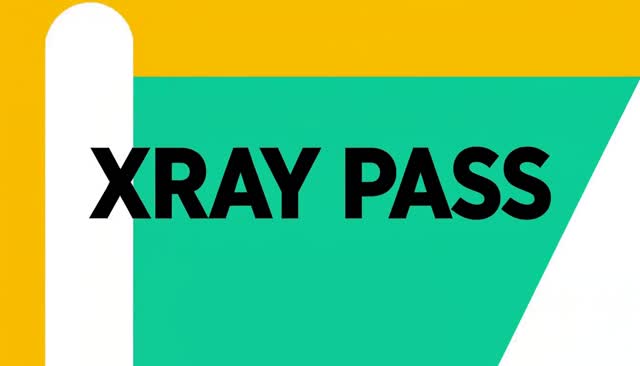 39 XRAY PASS：এক্স-রে ধাঁচের স্বচ্ছ স্ক্যান